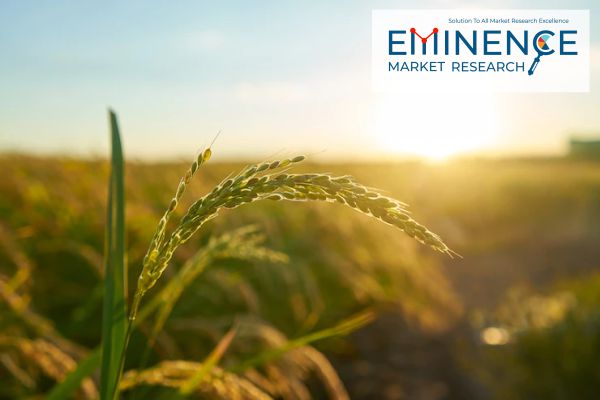 Eminence Market Research